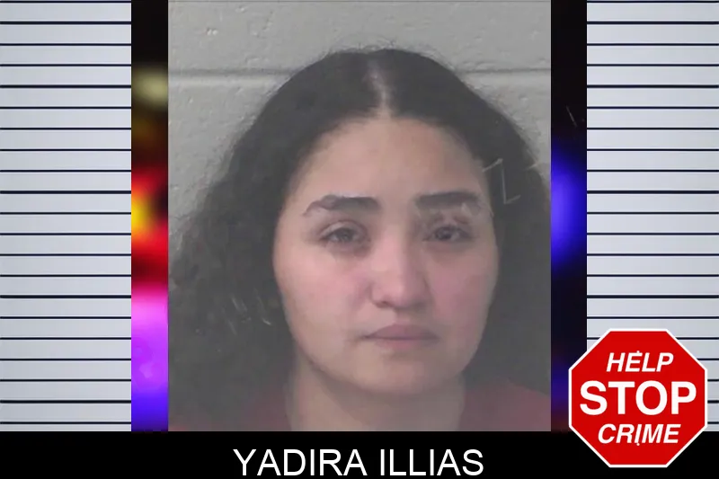 Yadira Illias mugshot – Newton County , Georgia Yadira Illias mugshot