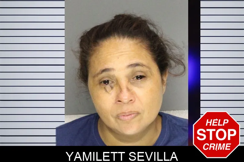 Yamilett Sevilla mugshot – Cobb County , Georgia Yamilett Sevilla mugshot