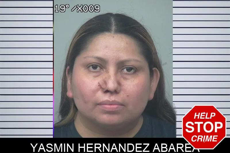 Yasmin Hernandez Abarea mugshot – Gwinnett County , Georgia Yasmin Hernandez Abarea mugshot