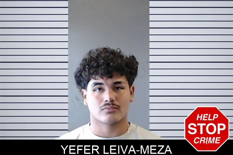 Yefer Leiva-Meza mugshot – DeKalb County , Georgia Yefer Leiva-Meza mugshot