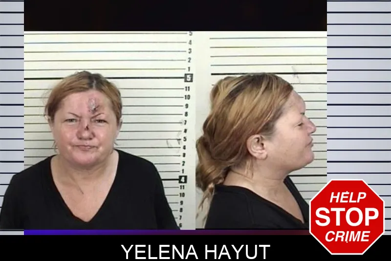Yelena Hayut mugshot