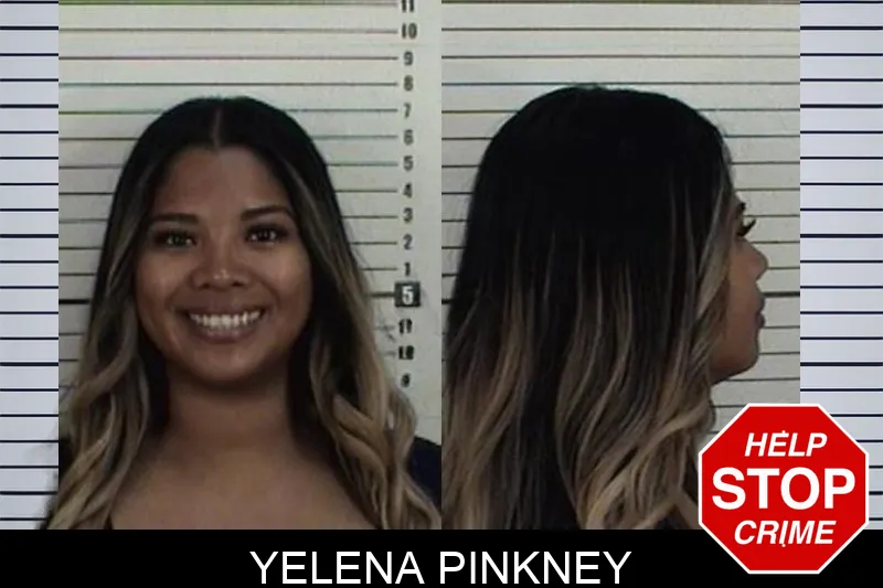Yelena Pinkney mugshot – Camden County , Georgia Yelena Pinkney mugshot