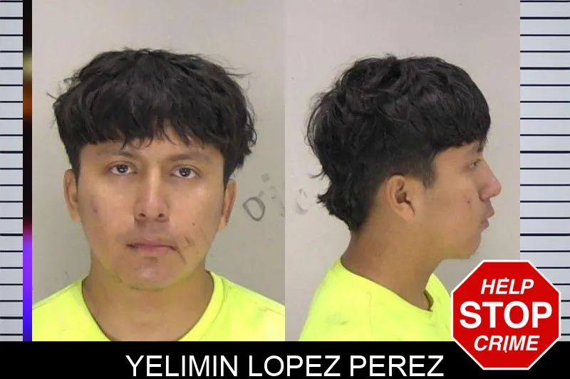 Yelimin Lopez Perez mugshot