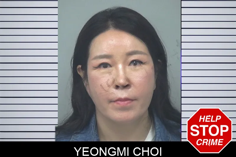 Yeongmi Choi mugshot