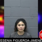 Yesenia Figueroa-Jimenez mugshot
