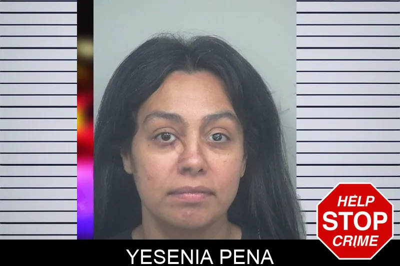 Yesenia Pena mugshot – Gwinnett County , Georgia Yesenia Pena mugshot