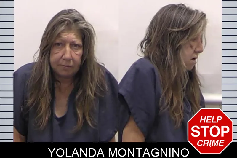 Yolanda Montagnino mugshot