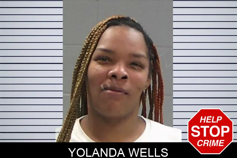Yolanda Wells mugshot