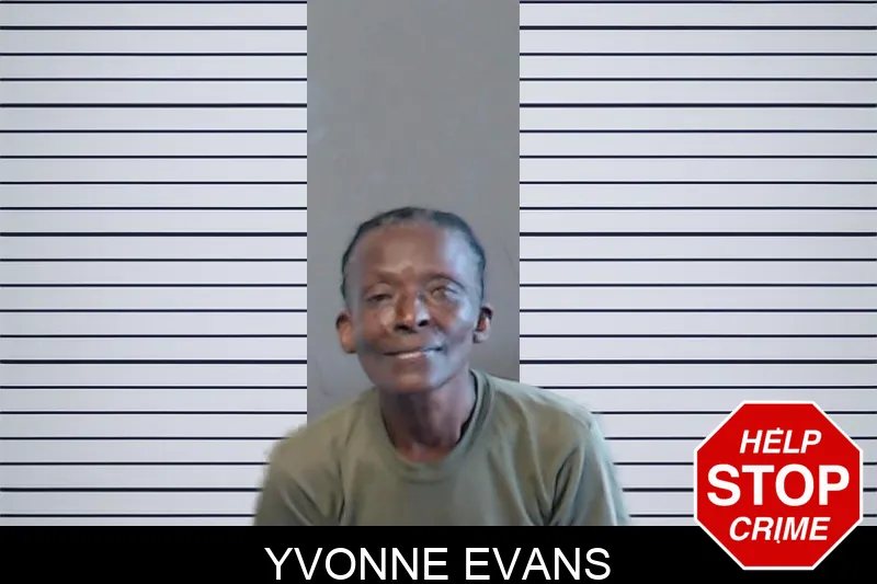 Yvonne Evans mugshot – DeKalb County , Georgia Yvonne Evans mugshot