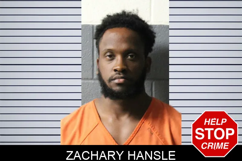 Zachary Hansle mugshot – Lumpkin County , Georgia Zachary Hansle mugshot