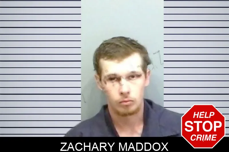 Zachary Maddox mugshot – Fulton County , Georgia Zachary Maddox mugshot