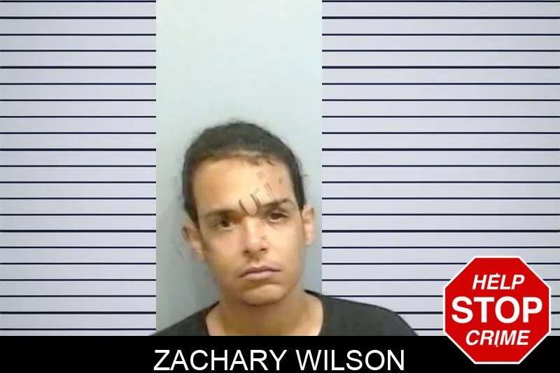 Zachary Wilson mugshot – Fulton County , Georgia Zachary Wilson mugshot