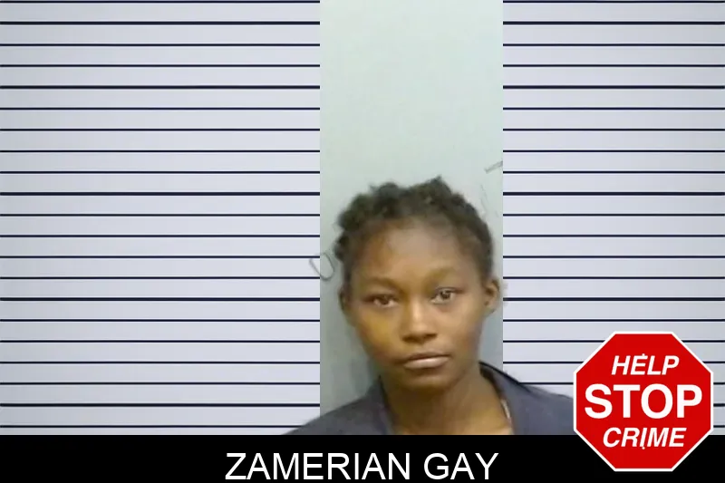 Zamerian Gay mugshot