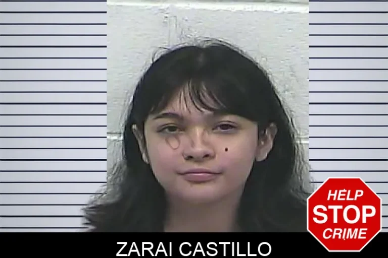 Zarai Castillo mugshot – Dawson County , Georgia Zarai Castillo