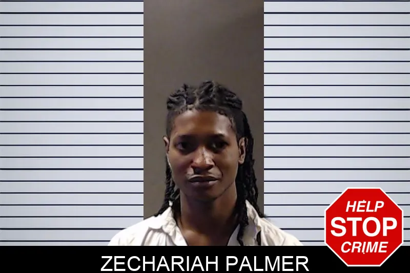 Zechariah Palmer mugshot – DeKalb County , Georgia Zechariah Palmer mugshot