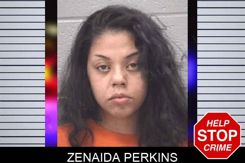 Zenaida Perkins mugshot