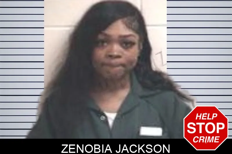 Zenobia Jackson mugshot – Henry County , Georgia Zenobia Jackson mugshot