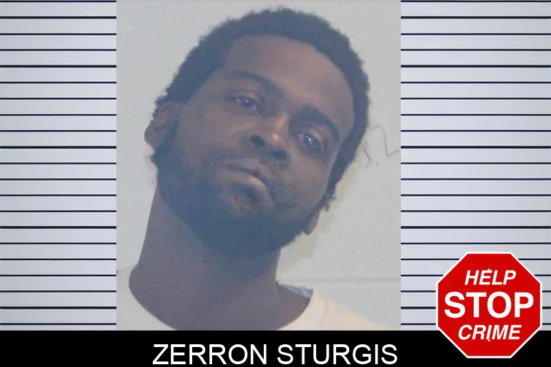 Zerron Sturgis mugshot – McDuffie County , Georgia Zerron Sturgis mugshot
