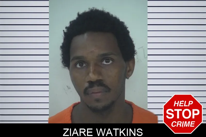 Ziare Watkins mugshot – Fayette County , Georgia Ziare Watkins mugshot