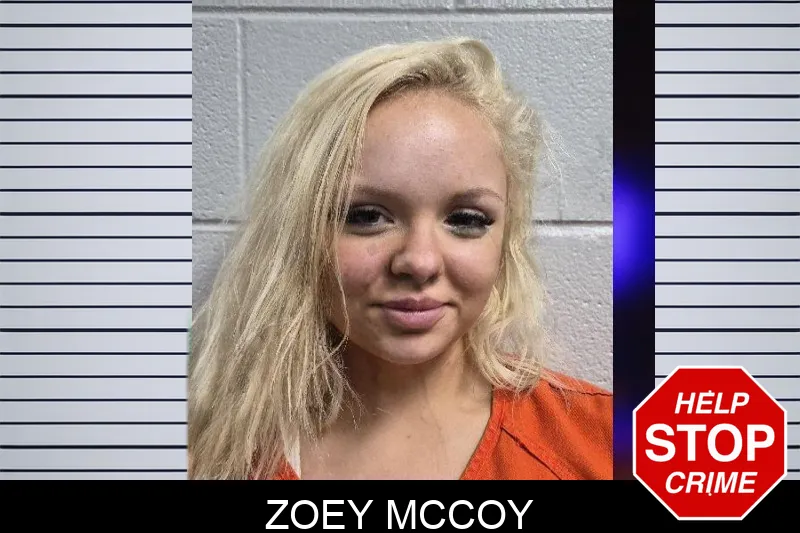 Zoey McCoy mugshot – Dade County , Georgia Zoey McCoy mugshot