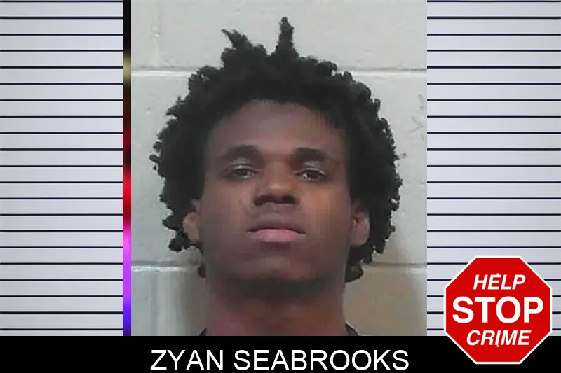 Zyan Seabrooks mugshot