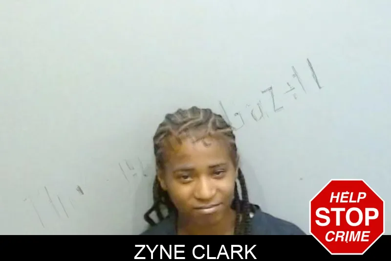 Zyne Clark mugshot – Fulton County , Georgia Zyne Clark mugshot